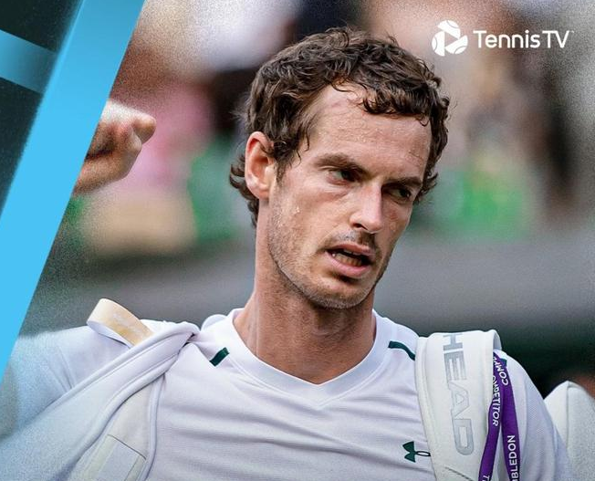 欧洲网球队血洗法国网球队，穆雷关键制胜的简单介绍