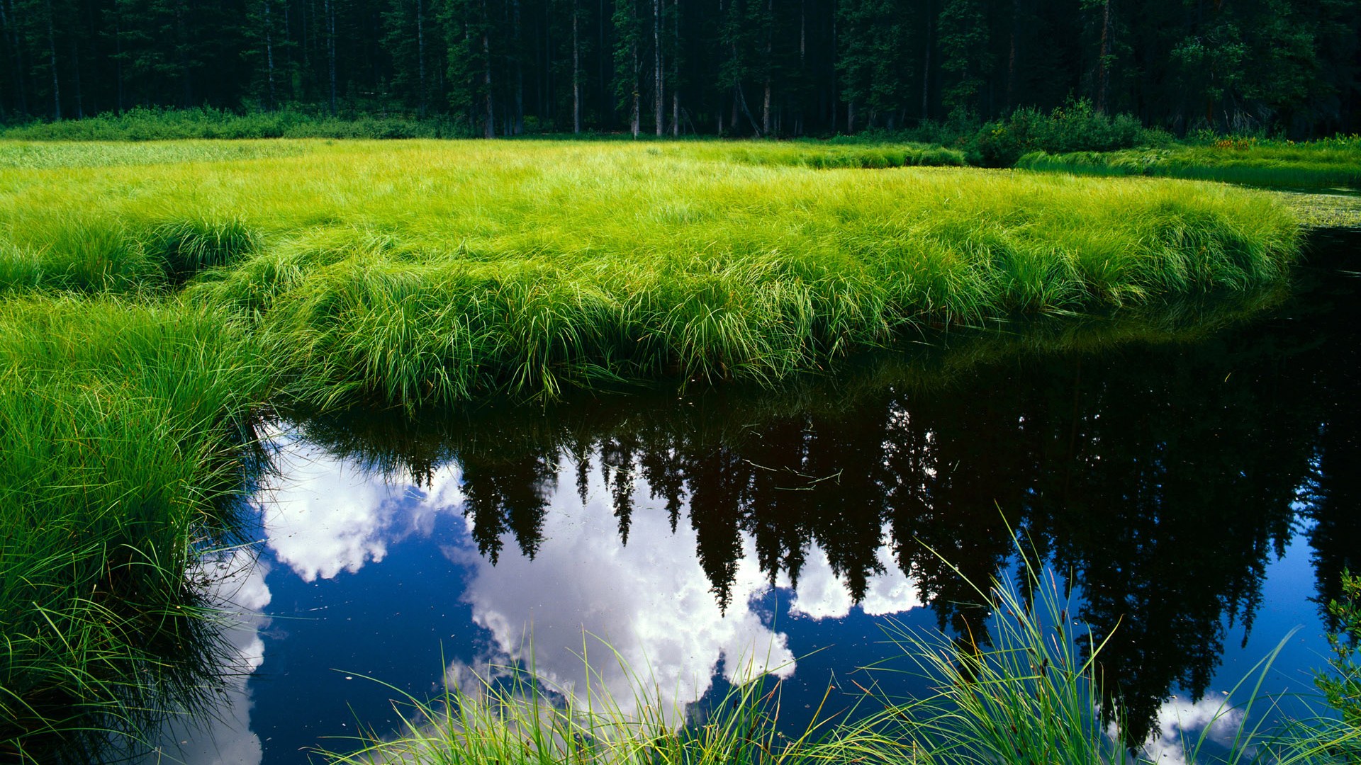 今夜无速,当F1引擎静默,文班亚马在休斯顿写下一封无解的篮球信笺