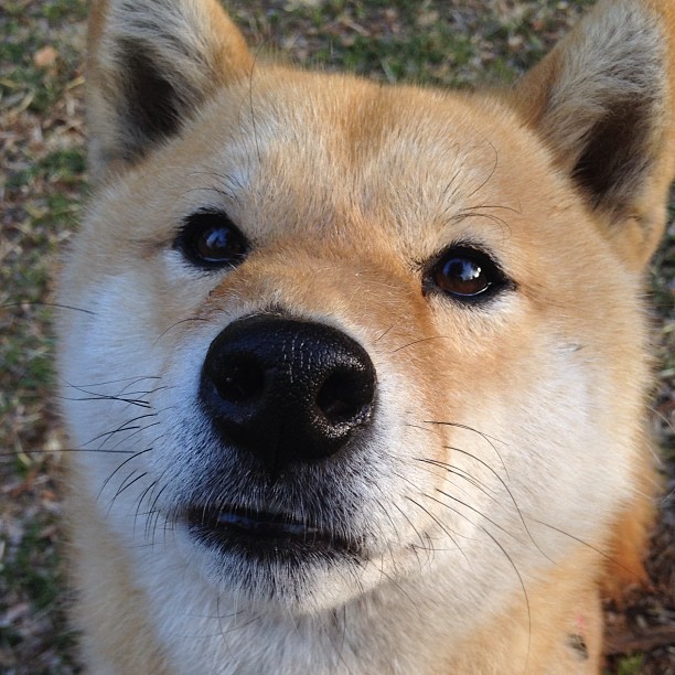 最喧哗与最沉默，欧文在麦迪逊花园的两小时