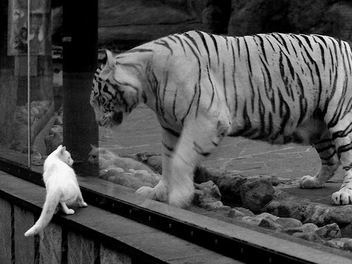 开云体育中国-守护神降临！库尔图瓦年度焦点之夜的独舞