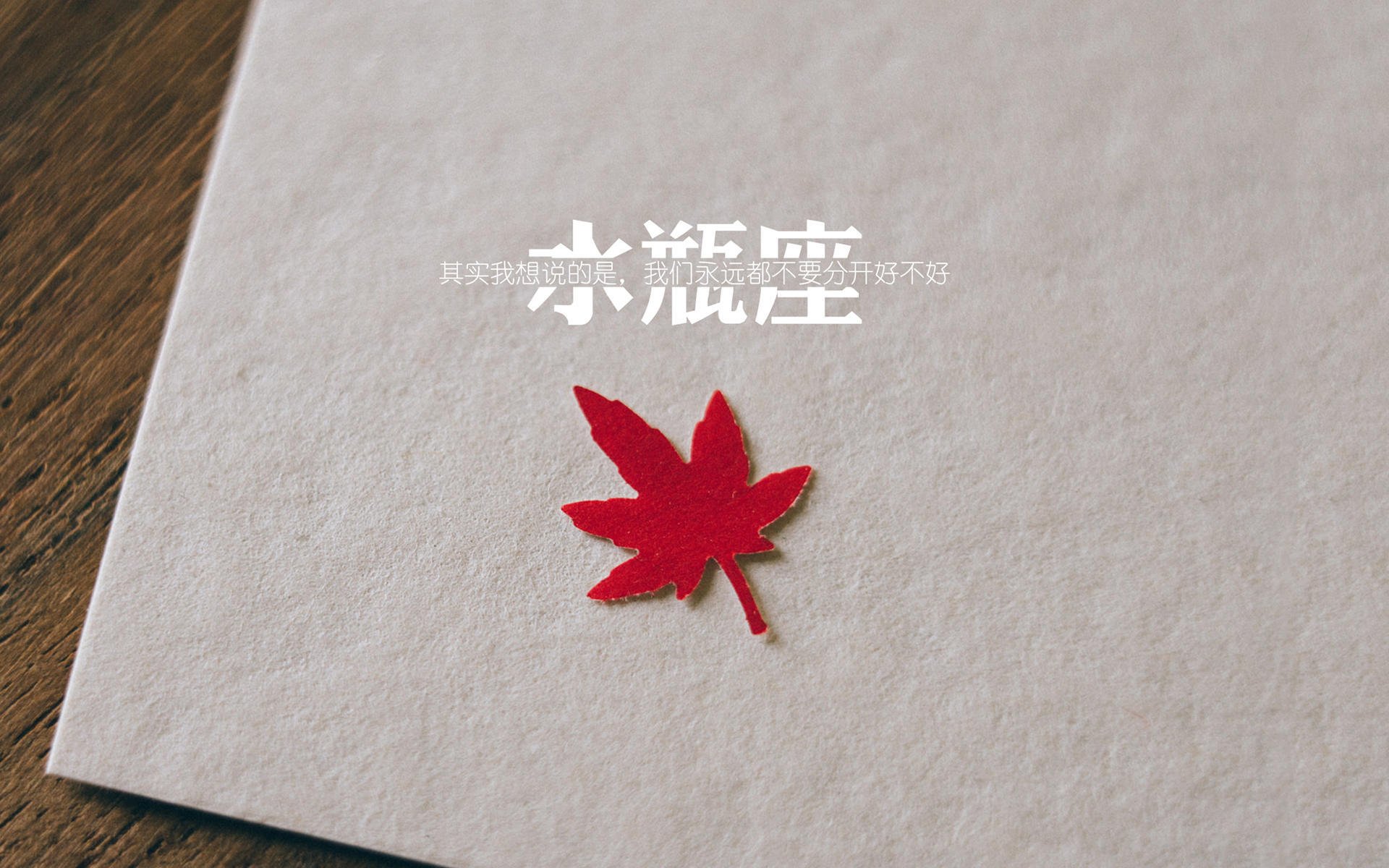 奇迹之夜,2026世界杯G组生死战,芬兰逆转比利时,齐耶赫用火焰点燃绿茵
